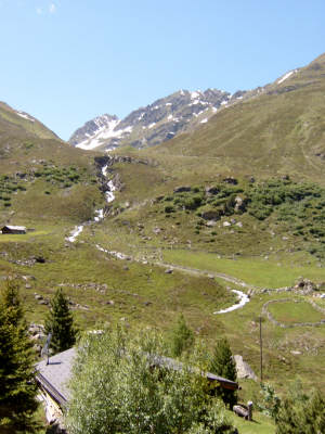 Naturansicht 1