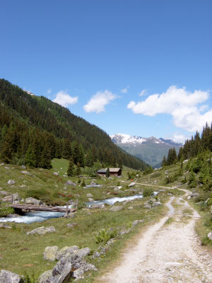 Naturansicht 2