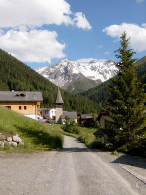 Naturansicht 3