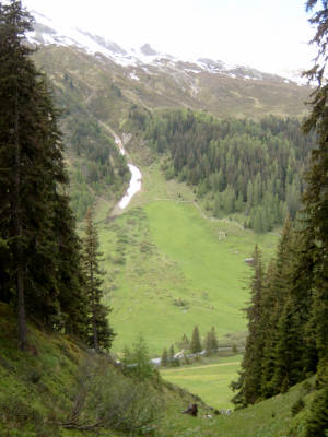 Naturansicht 4