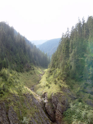 Natur pur