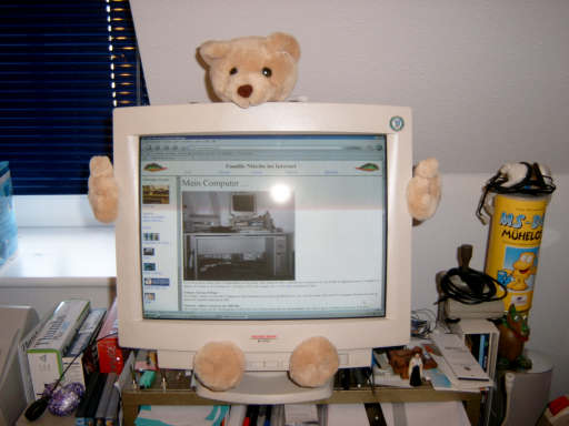 Monitor mit Teddy