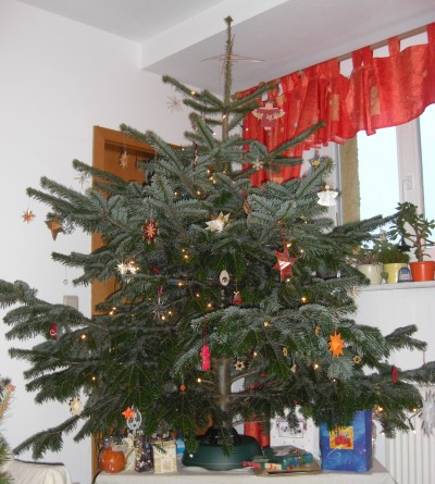 unser Weihnachtsbaum, echt aus dem Erzgebirge