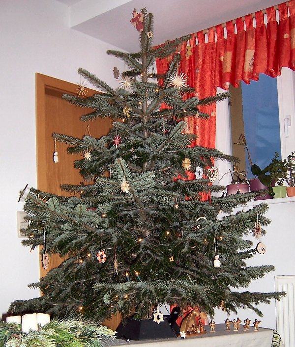 unser Weihnachtsbaum