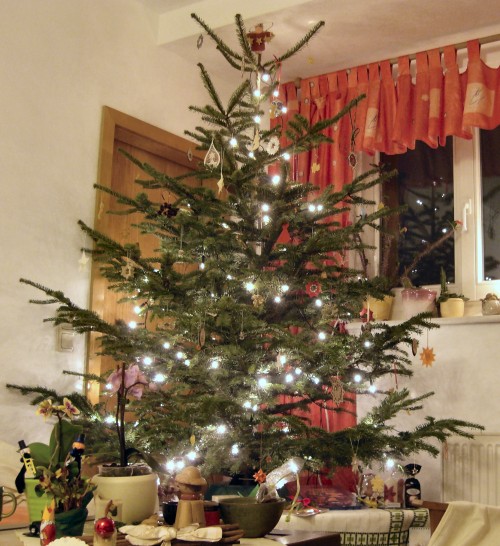 unser Weihnachtsbaum 2008