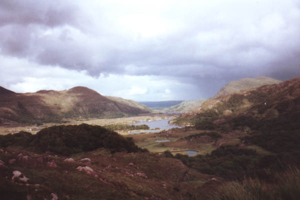 Ladies View